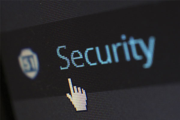 Small Business Website Security
